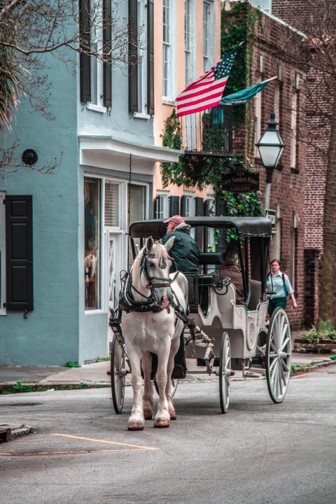 A horse and carriage in downtown Charleston
